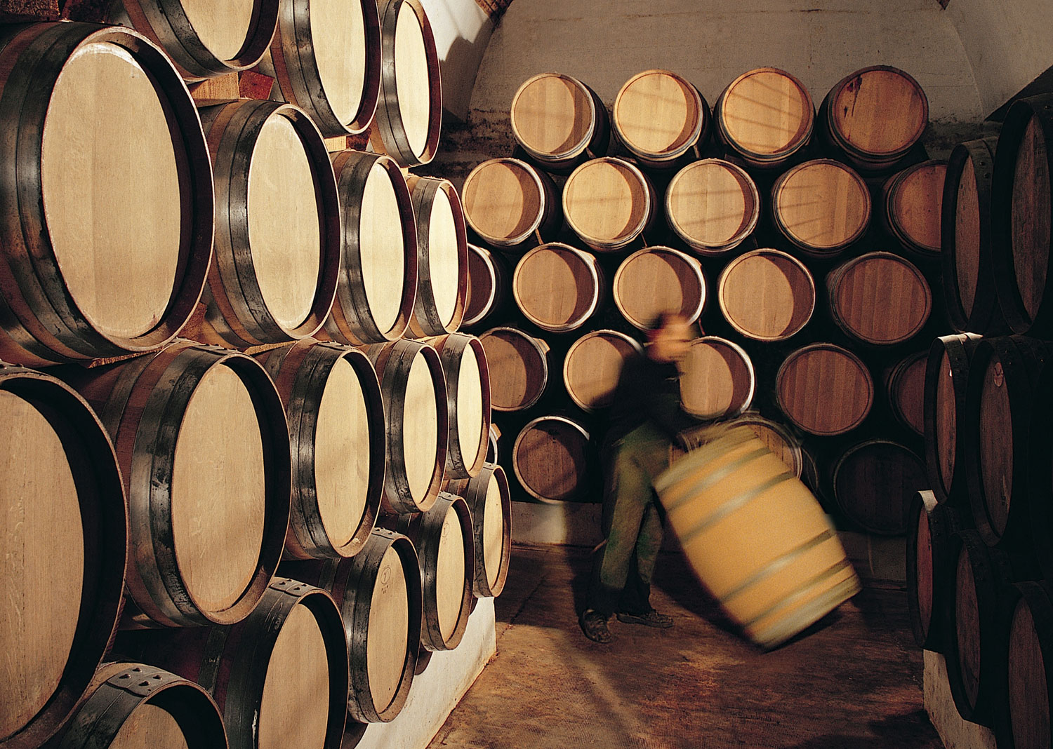 Dominio de Bornos - La Bodega